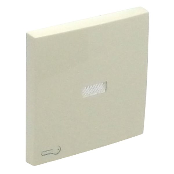 ROCK F/LIGHT SWITCH/PUSH-BUT W/LOCK SYMB IVOR image 1