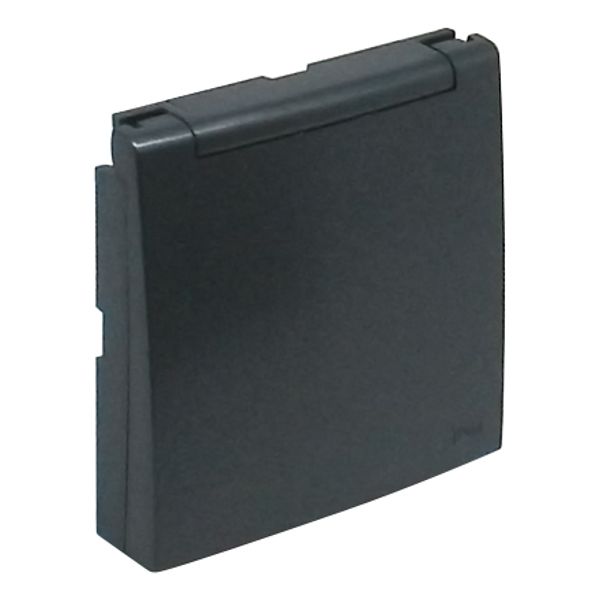 C.PLAT F/FR SOCK W/SAF & HINGED LID(IP44) GR image 1