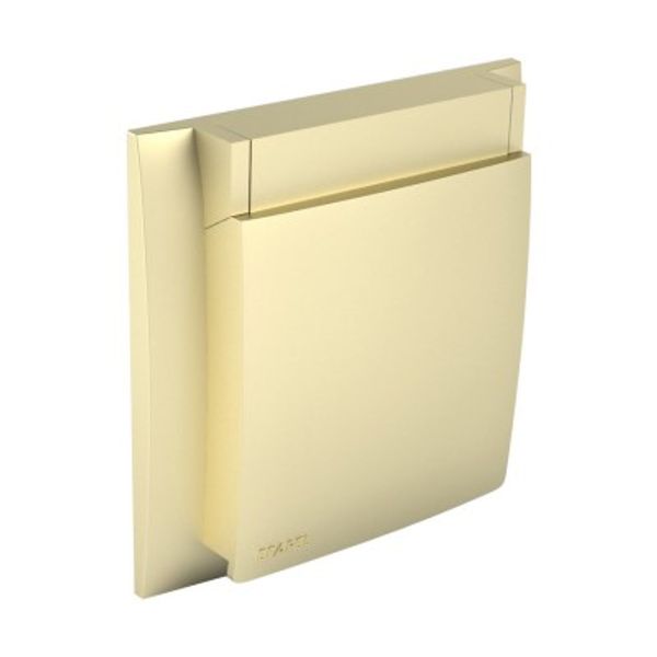 IP44 WATERPROOF FRAME GOLDEN image 1