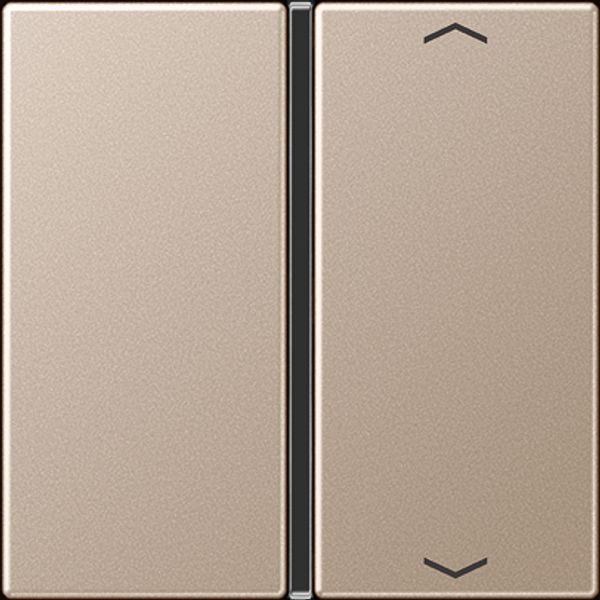 Cover kit 1-gang, complete with symbols A401TSAPCH image 16