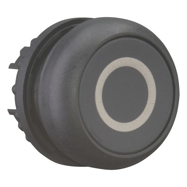 M22S-DR-S-X0 Pushbutton, RMQ-Titan, Flat, maintained, black, inscribed, Bezel: black image 11