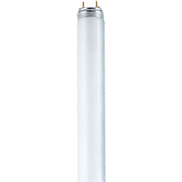 NL-T8 18W/765/G13 EX image 1