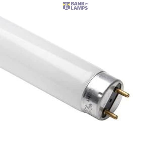 38W/865 120cm T8 image 1