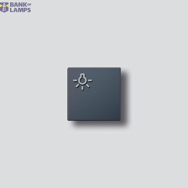 TLM 61x-01, BTLM 650-... AG Light button with light symbol image 1