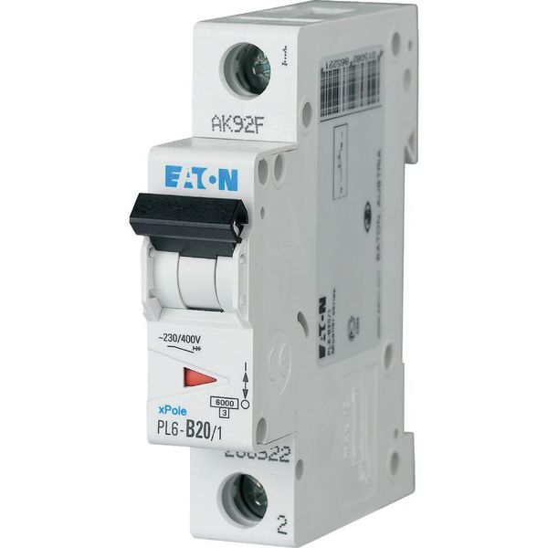 PL6-D20/1 Miniature circuit breaker (MCB), 20 A, 1p, characteristic: D image 1