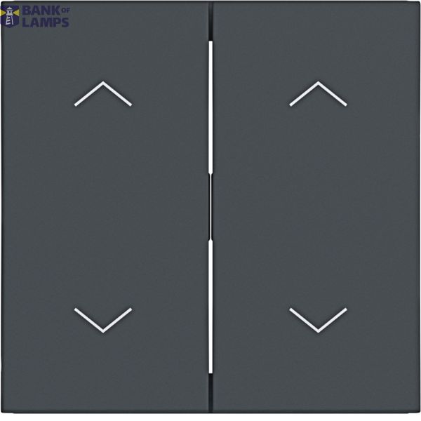 Double seesaw, with printed two arrow symbols, A.x/C.x, anthracite image 1