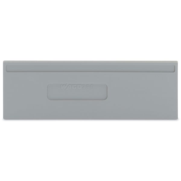 Separator plate 2 mm thick oversized gray image 3