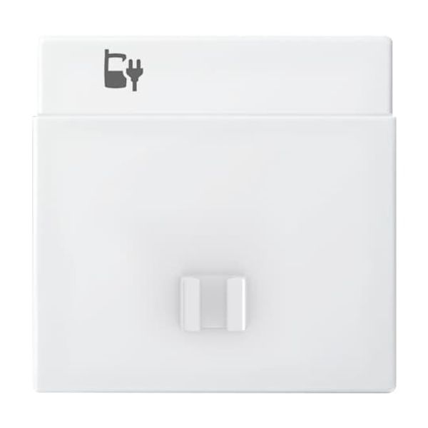 Central plate with rotary handle, with imprint Busch-balance® SI image 4