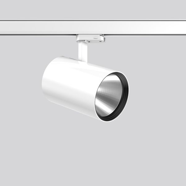 DEECOS S maxi, 22 W, 2250 lm, 930, white, on/off Surface mounted proje image 1