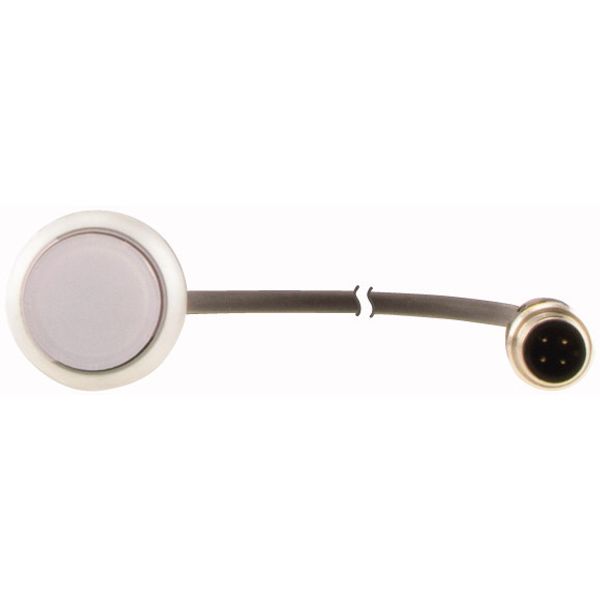 C22-DL-W-K10-24-P1 Illuminated pushbutton actuator, Flat, momentary, 1 N/O, Cable (black) with M12A plug, 4 pole, 0.2 m, LED white, White, Blank, 24 V AC/DC, Bezel: tita image 2
