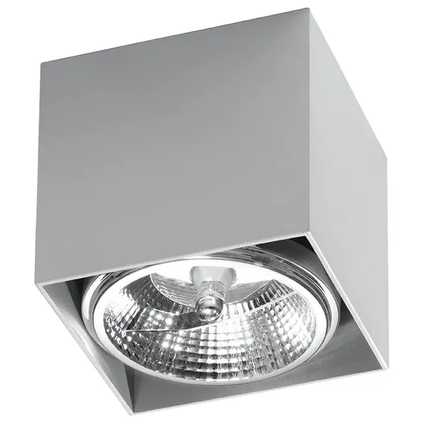 SPOT BLAKE GREY GU10 1X40W IP20 image 1