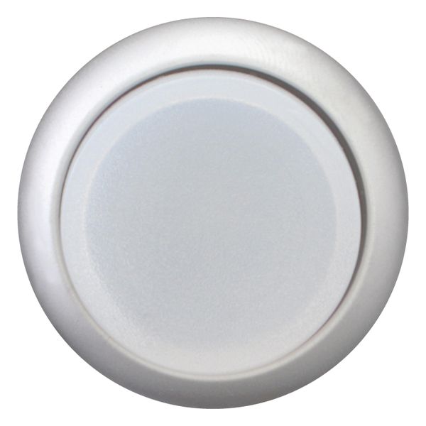 M22-DRLH-W Illuminated pushbutton actuator, RMQ-Titan, Extended, maintained, White, Blank, Bezel: titanium image 4