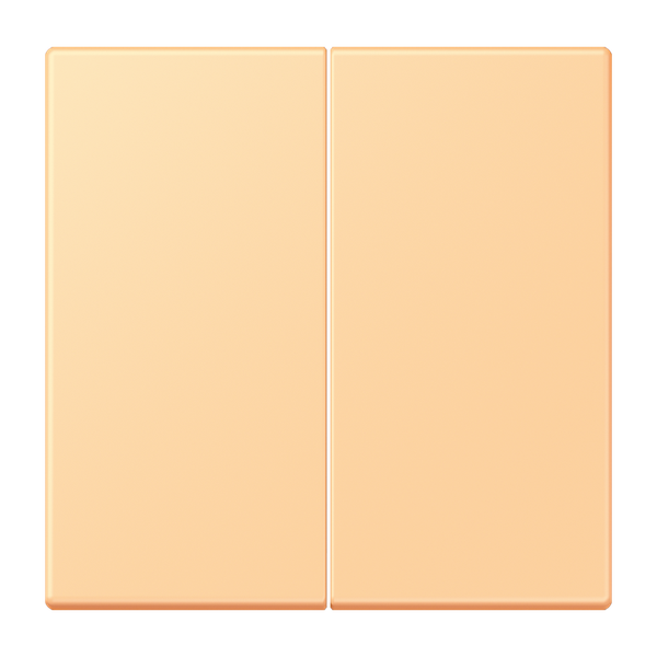 LB Management push-button 2-gang LC1702258 image 1