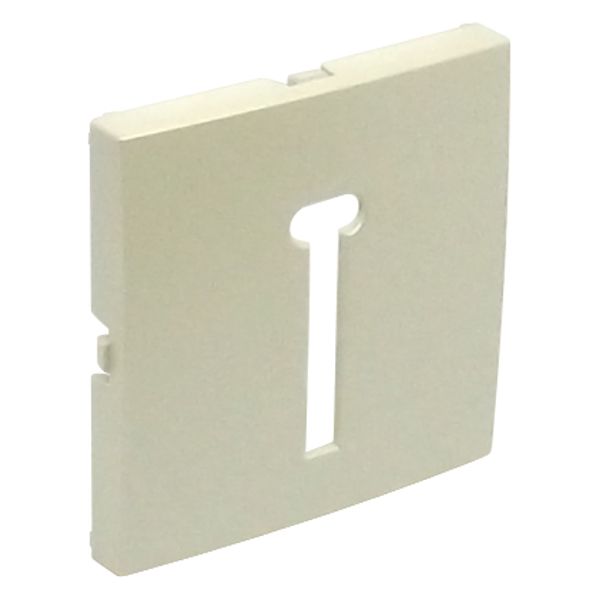 COVER PLATE F/T8 FRENCH TELEP SOCKET PEARL image 2