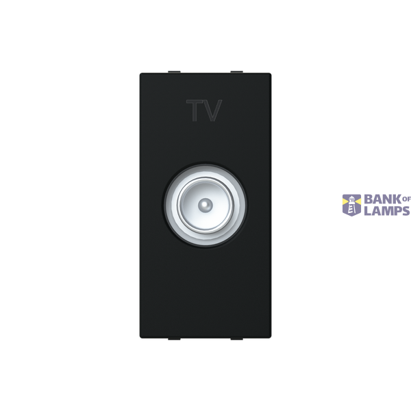 N2150.7 NT - TV socket Male terminal image 1