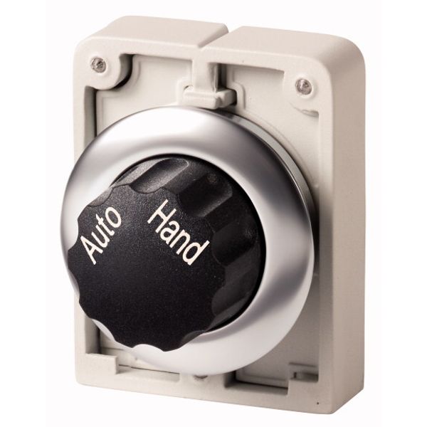 M30I-FWR-X91 Changeover switch, RMQ-Titan, with rotary head, maintained, 2 positions, inscribed, Front ring stainless steel, AUTO HAND image 1