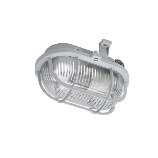 TIARA LED M PRO CLUE SRW 8475lm 740 RM3 IP66 I cl. DALI (54W) IoT Clue image 3