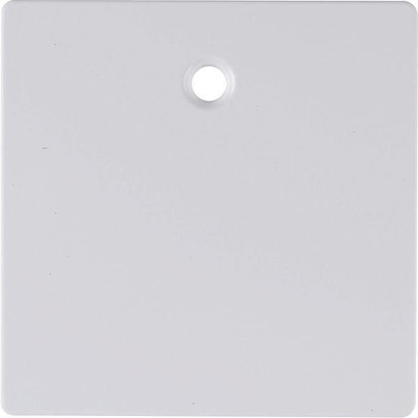 Centre plate for pullcord switch/pullcord push-button, Q.1/Q.3, p. whi image 3