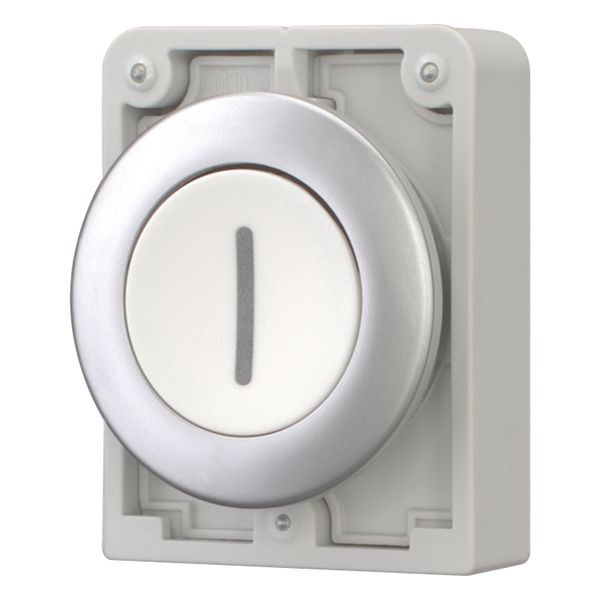 M30C-FD-W-X1 Pushbutton, RMQ-Titan, Flat, momentary, White, inscribed, Metal bezel image 3