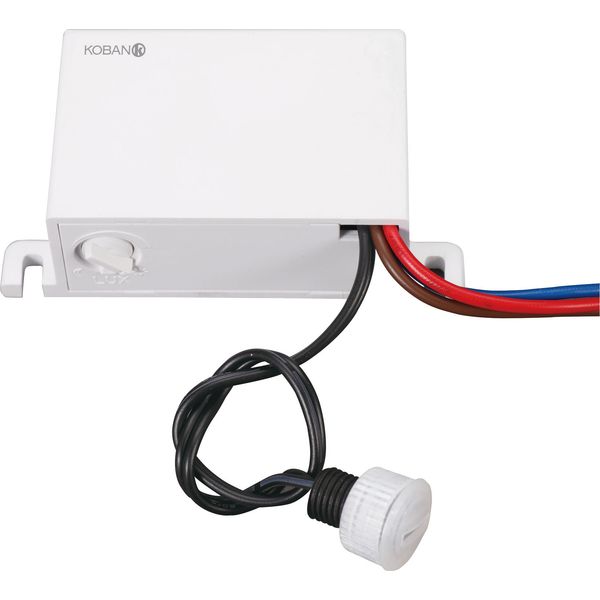 KIC-FP - INT.CREPUSCULAR image 1