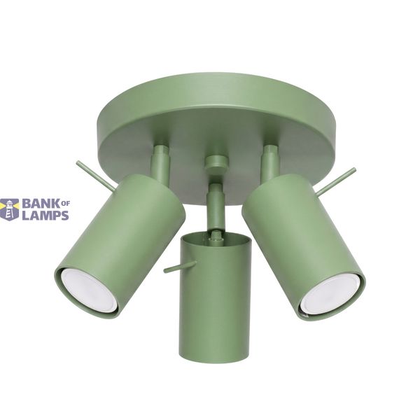 Ceiling lamp RING 3P sage image 3