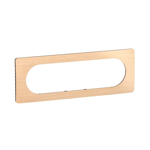 PLATE 3G LARGE BEECH image 5