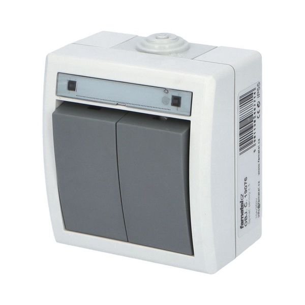 AQUANT DOUBLE POLE SWITCH image 3