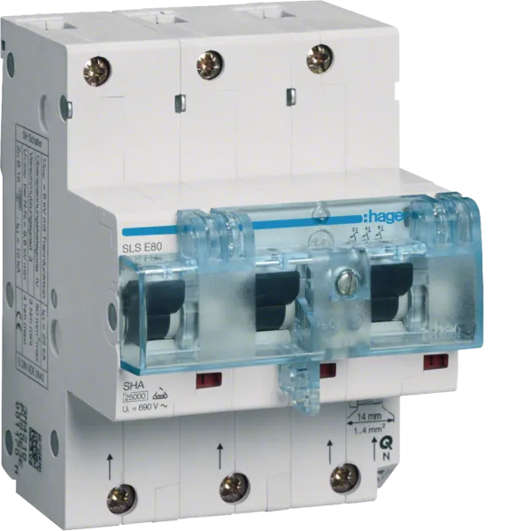 SLS switch 3-pole E-characteristic 80A for DIN rail mounting image 1