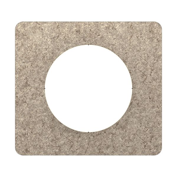 PLATE 1 GANG FELT image 6