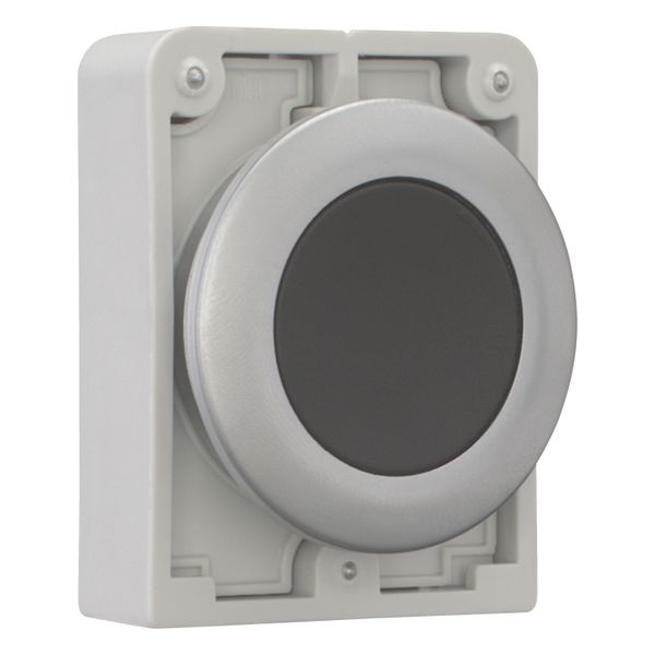 M30C-FD-S Pushbutton, RMQ-Titan, Flat, momentary, black, Blank, Metal bezel image 14
