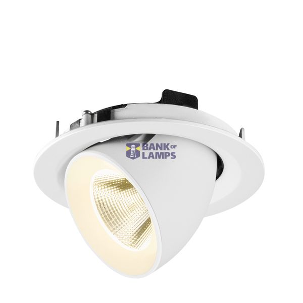 NUMINOS® GIMBLE M 4000K 20° white/white image 3