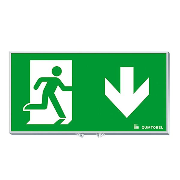 PURESIGN 150 MSW/MRW SP1-E002-D ERI SR - Escape sign image 1