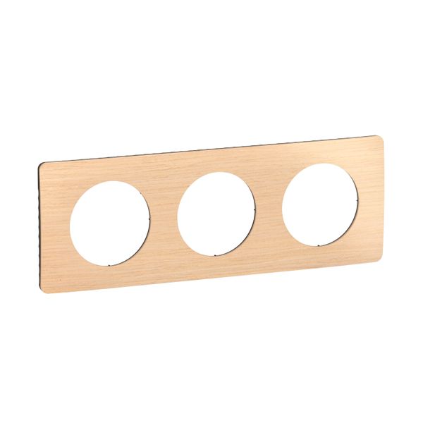 PLATE 3 GANG BEECH image 3