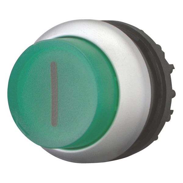 M22-DRLH-G-X1 Illuminated pushbutton actuator, RMQ-Titan, Extended, maintained, green, inscribed, Bezel: titanium image 12