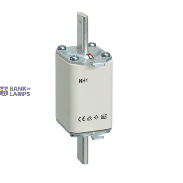 NH1/WT-1 gG 200/500V image 1