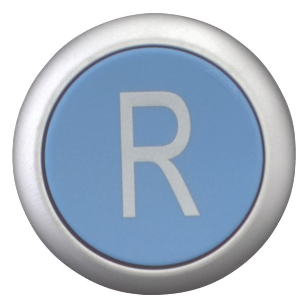 M22-DZ-B-X6 Release pushbutton, blue, R image 5