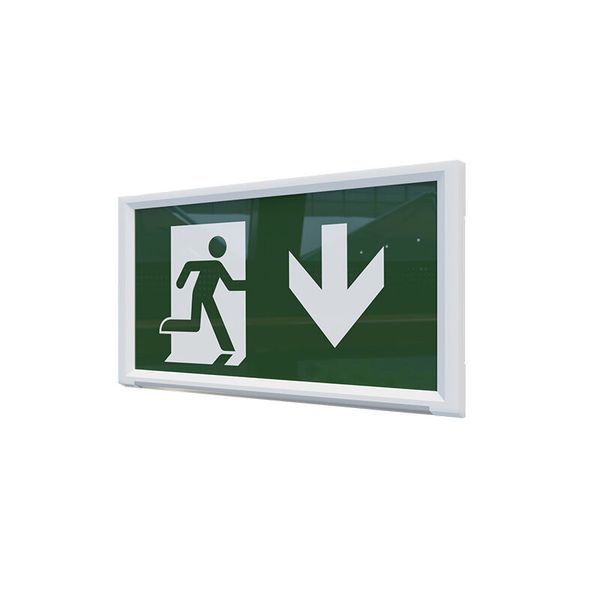 PANLUX LED luminaire EUROPA 2 EXIT down arrow 2W 130lm 6500K 3h emergency IP20 image 1