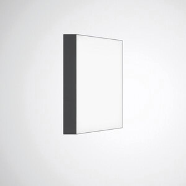 Mechanical accessories Olisq Q Black 8271500 image 1