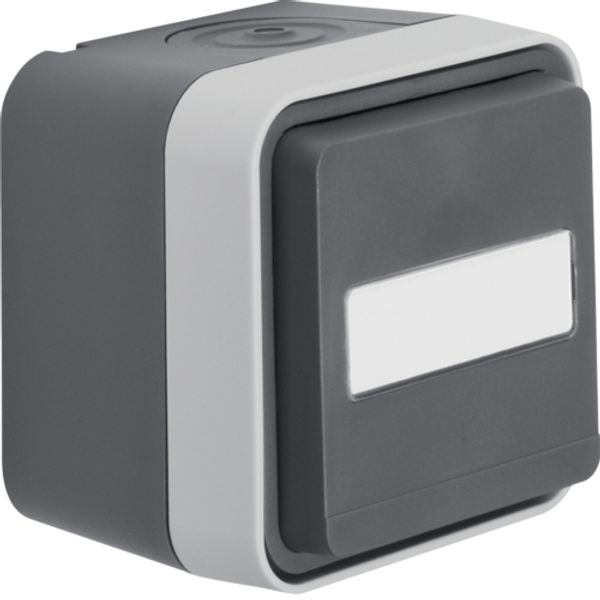 Child protection Schuko socket, label W.1, IP55, gray image 1