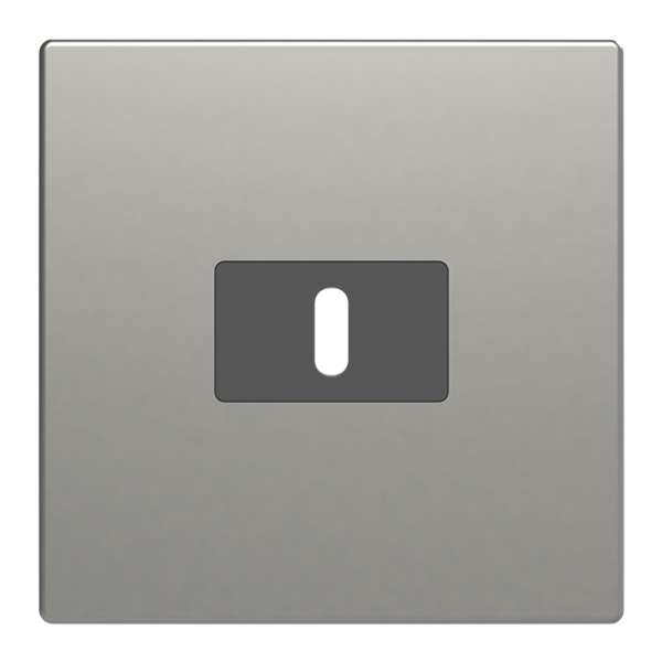 Central disc USB-C power supply insert 65W pure stainless steel image 1