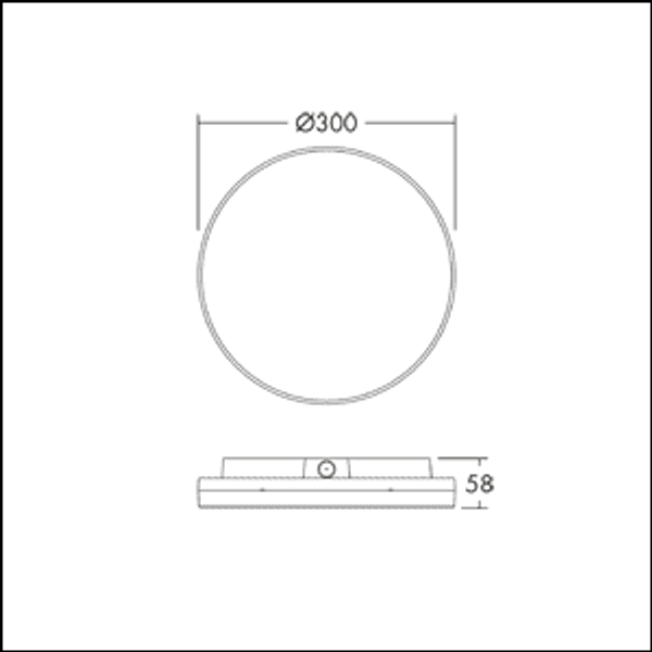 LENA VF 300 2400 830/35/40/57/65 MWS - Wall-/ceiling luminaire, IP54 image 3