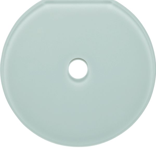 Glass cover end plate for rot. switch/spring-return push-button image 1