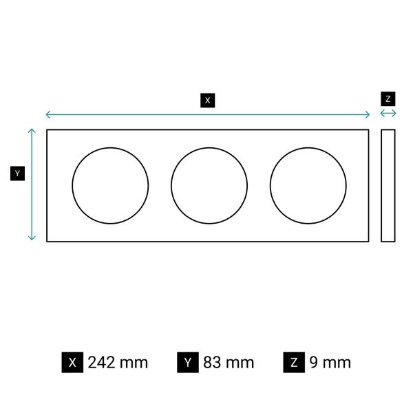 PLATE 3 GANG LIMOGES PORCELAIN image 5
