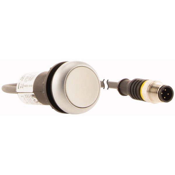 C22-D-W-K10-P3 Pushbutton, Flat, momentary, 1 N/O, Cable (black) with M12A plug, 4 pole, 0.5 m, White, Blank, Bezel: titanium image 4