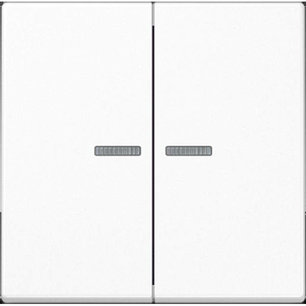 2-gang rocker with transparent lenses A595KO5WW image 2