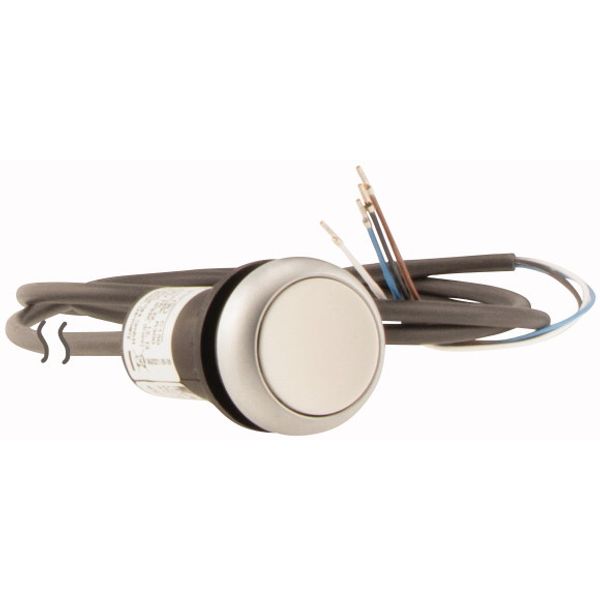 C22-DR-W-K10-P65 Pushbutton, classic, flat, maintained, 1 N/O, white, cable (black) with non-terminated end, 4 pole, 3.5 m image 4