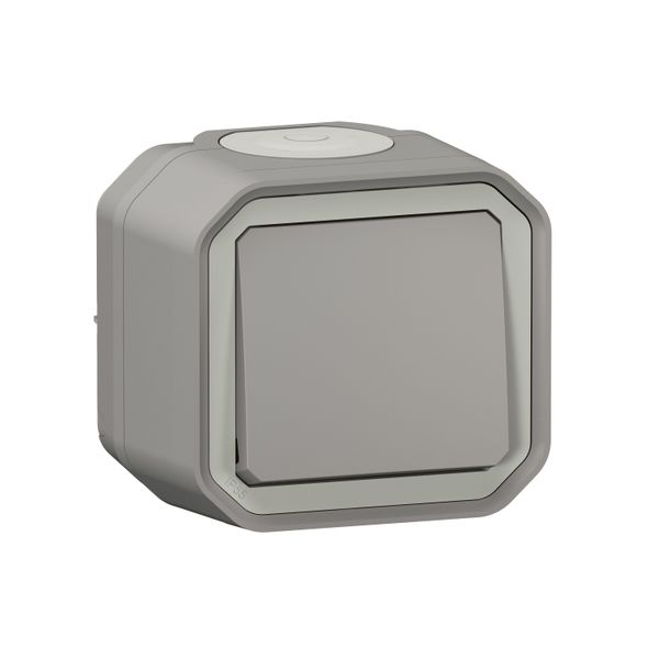 PLEXO INTERMEDIATE - GREY - SURFACE image 1