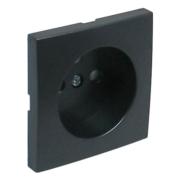 SAFETY C.PLAT F/EARTH SOCKET (FRENCH) GRAY image 1