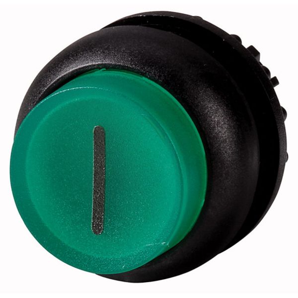 M22S-DRLH-G-X1 Illuminated pushbutton actuator, RMQ-Titan, Extended, maintained, green, inscribed, Bezel: black image 1
