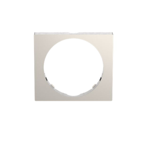 Busch-Watchdog frame stainless steel image 1